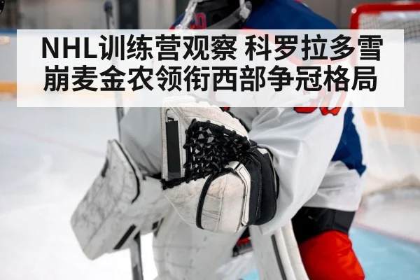 ice hockey goalie